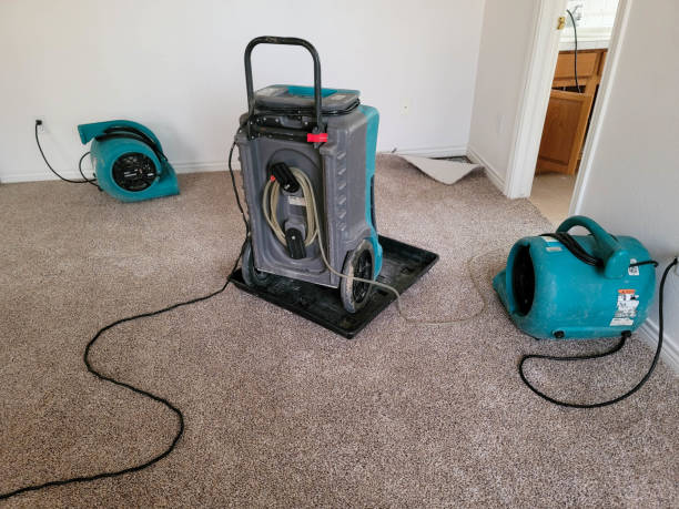 Best Residential water damage restoration  in Essex, IL