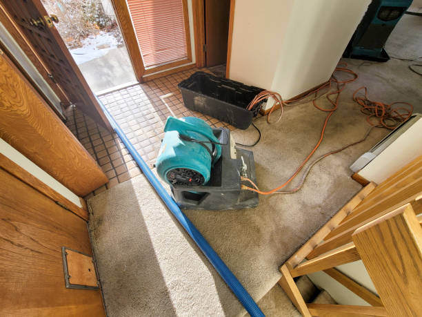 Best Water damage mitigation services  in Essex, IL