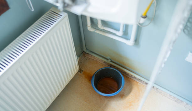 Best Commercial water damage restoration  in Essex, IL