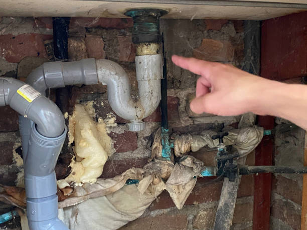 Best Water damage restoration near me  in Essex, IL
