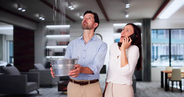 Best Basement water damage restoration  in Essex, IL